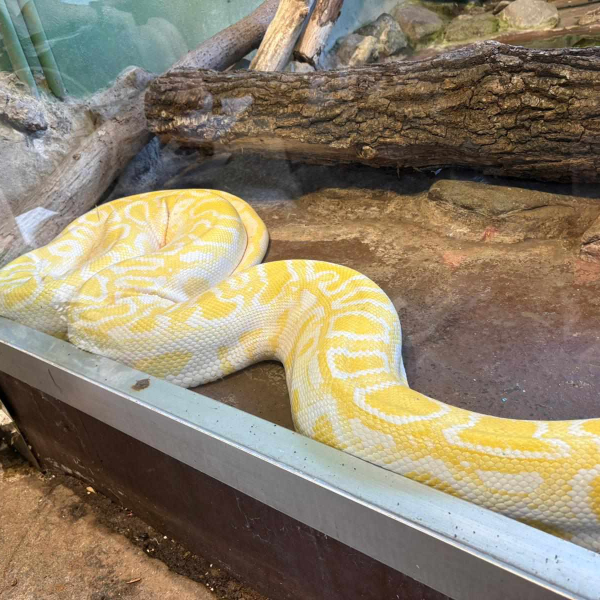 IOK Zagreb posjeta Zoološkom vrtu 12
