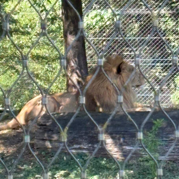 IOK Zagreb posjeta Zoološkom vrtu 8